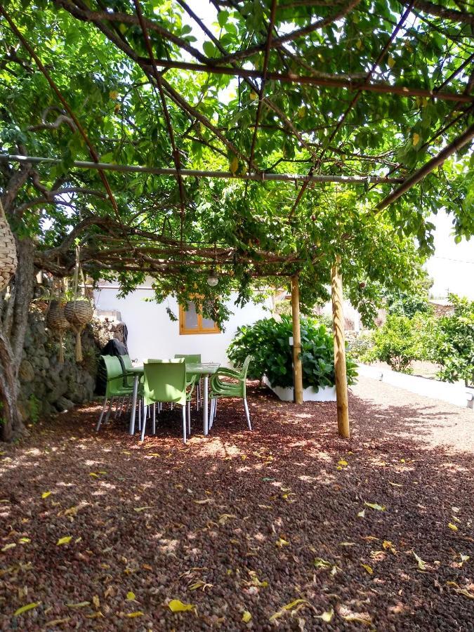 Los Huertos Conect With The Nature & Relax Икод-де-лос-Винос Экстерьер фото