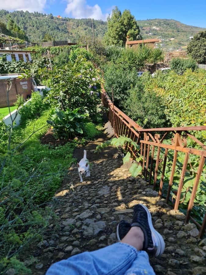 Los Huertos Conect With The Nature & Relax Икод-де-лос-Винос Экстерьер фото